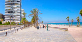 alquiler de coches en alicante san juan